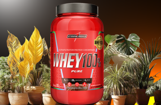 Whey Protein Concentrado 